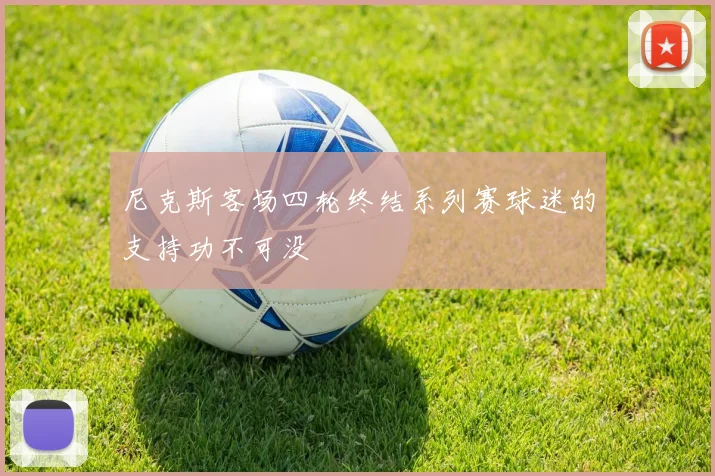尼克斯客场四轮终结系列赛球迷的支持功不可没